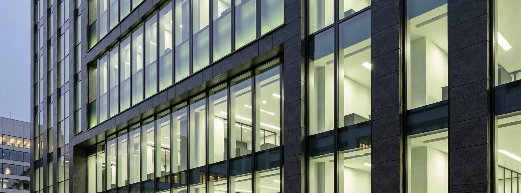 ZenInsight Group Corporate Standards